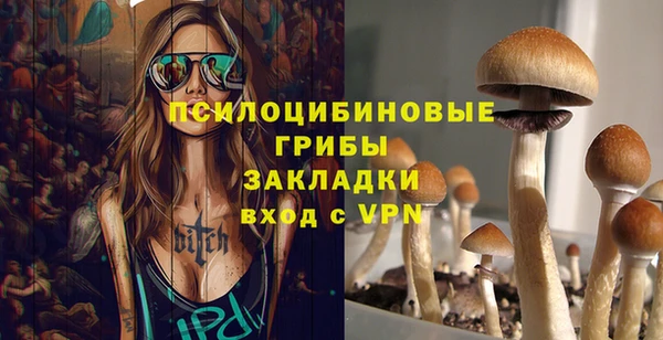 тгк Алзамай