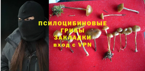 тгк Алзамай
