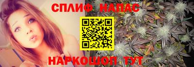 дмт Славянск-на-Кубани