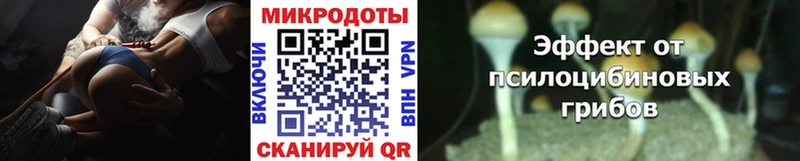Псилоцибиновые грибы Magic Shrooms наркошоп это какой сайт Похвистнево