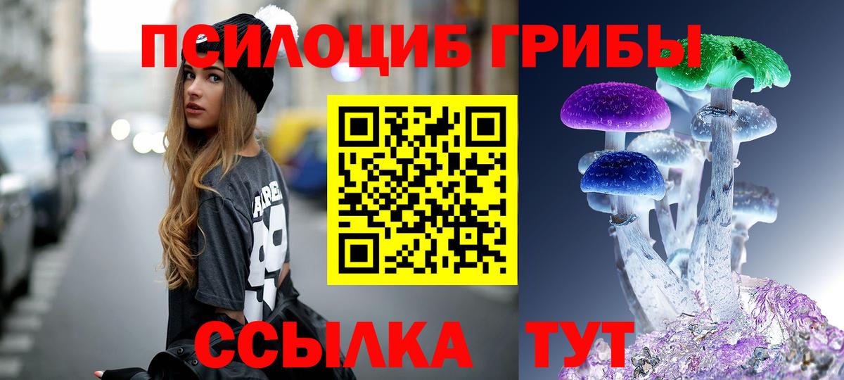 Псилоцибиновые грибы мицелий  наркошоп  Похвистнево  Вход с VPN 